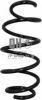 JP GROUP 1142213609 Coil Spring
